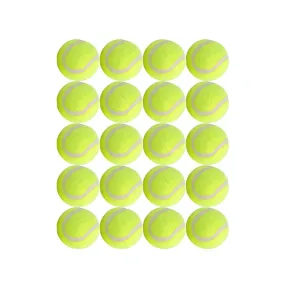 Dog Tennis Balls 20 Pack Pet Tennis Ball for Small Dogs Premium Fetch Toy Non-Toxic Non-Abrasive Material