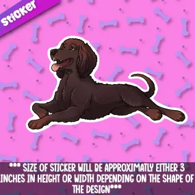 Irish Water Spaniel