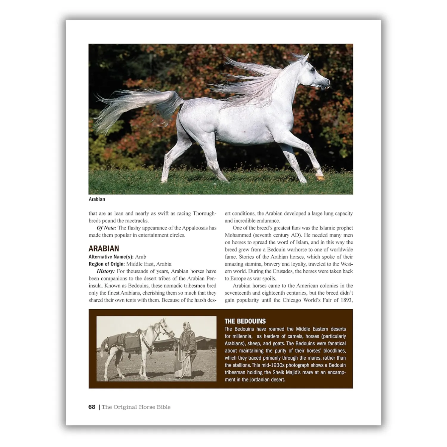 The Original Horse Bible, 2nd Edition: The Definitive Source for All Things Horse (CompanionHouse Books) 210 Breed Profiles, Training Tips, Riding Insights, Competitive Activities, Grooming and Health (Spiral Bound)